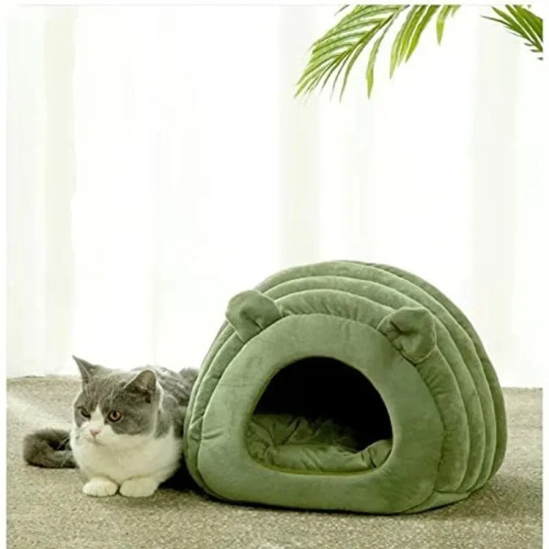 Cozy Covered Cat Bed