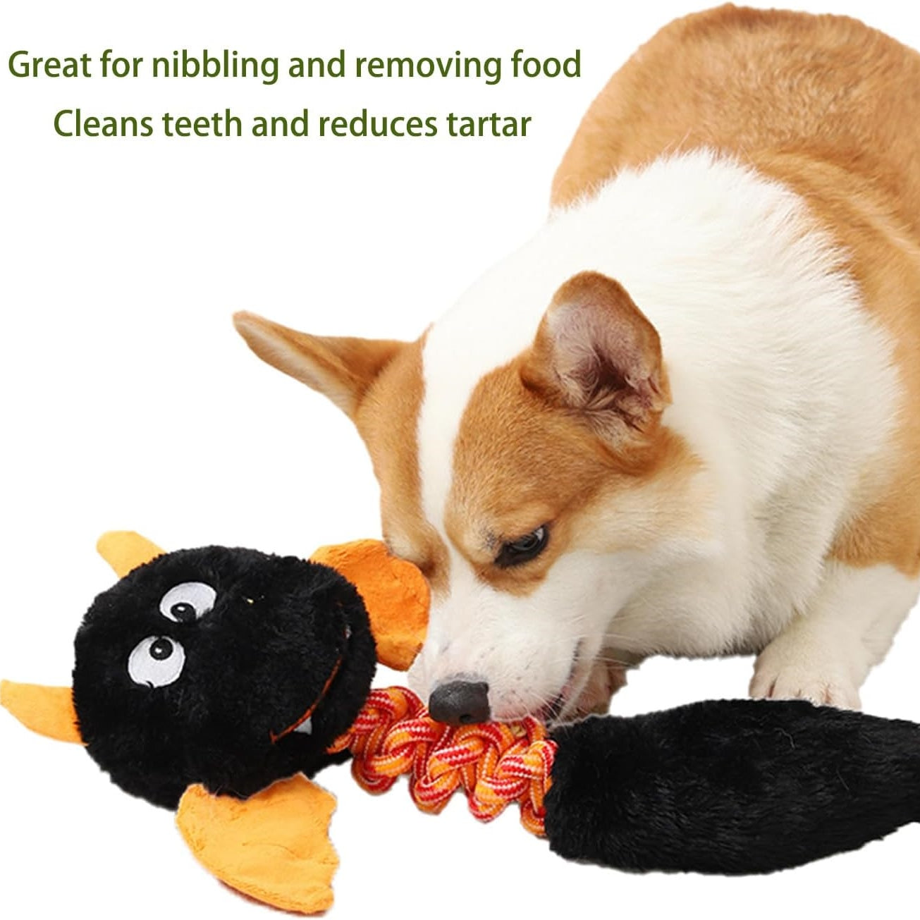 Large Plush Squeaky Dog Toy