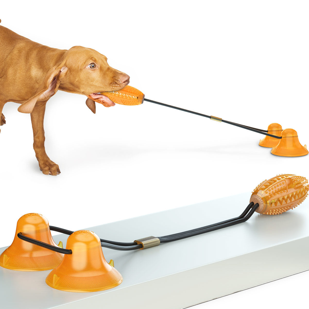 Suction Cup Tug Rope Toy for Dogs