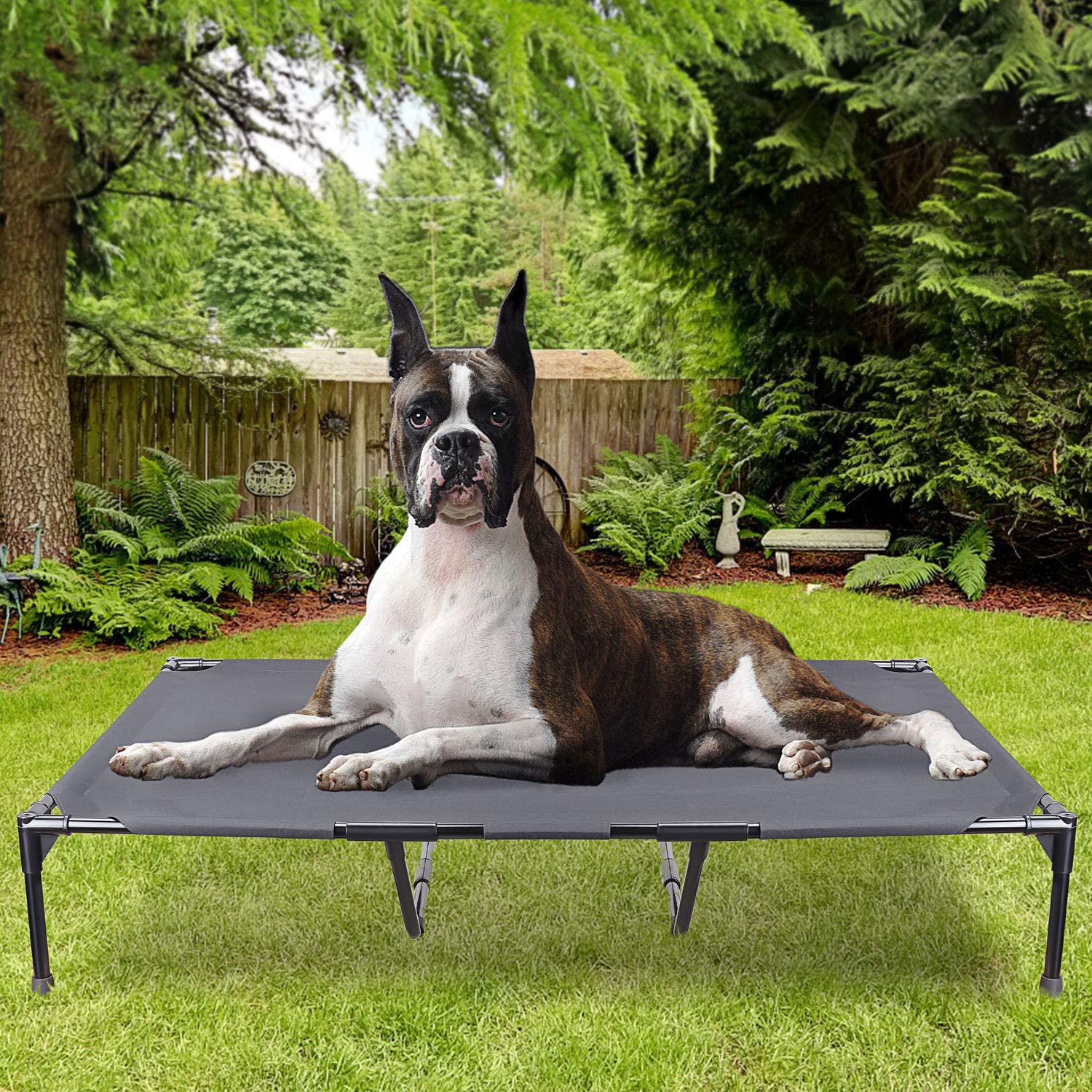 Elevated Outdoor Dog Bed