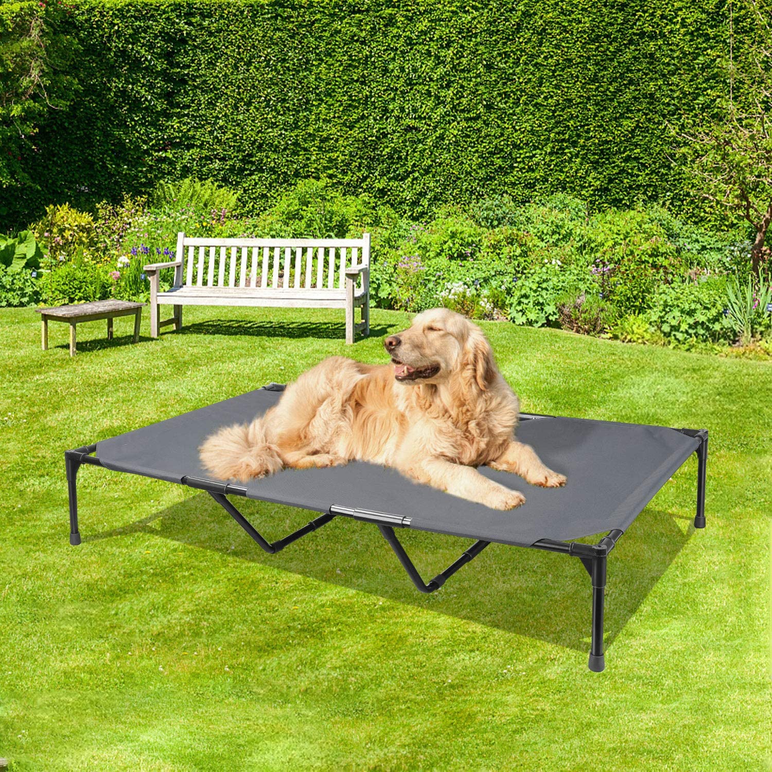 Elevated Outdoor Dog Bed