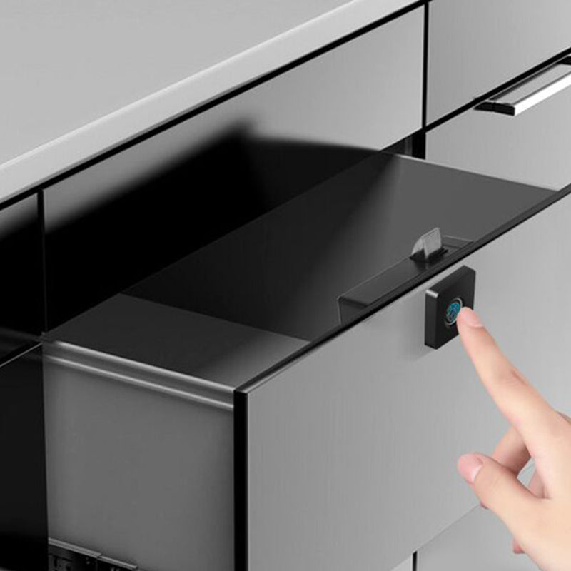 Fingerprint Drawer and Cabinet Lock