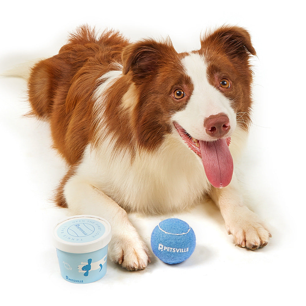 Bouncy Ball Dog Toys