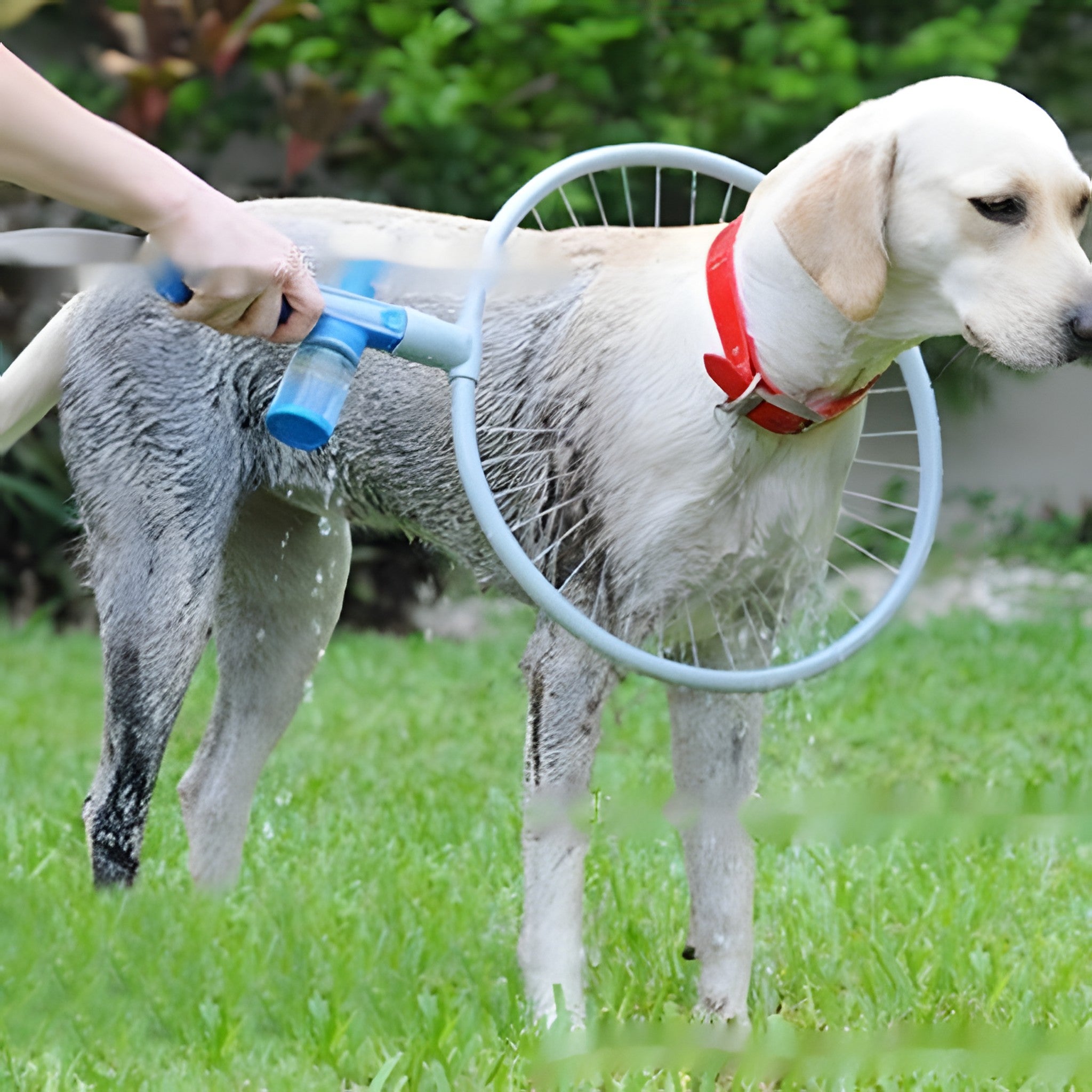 Pet Grooming Supplies Pet Shower Brush Bathing Device