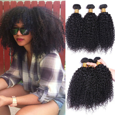 Kinky Curly Human Hair Bundle