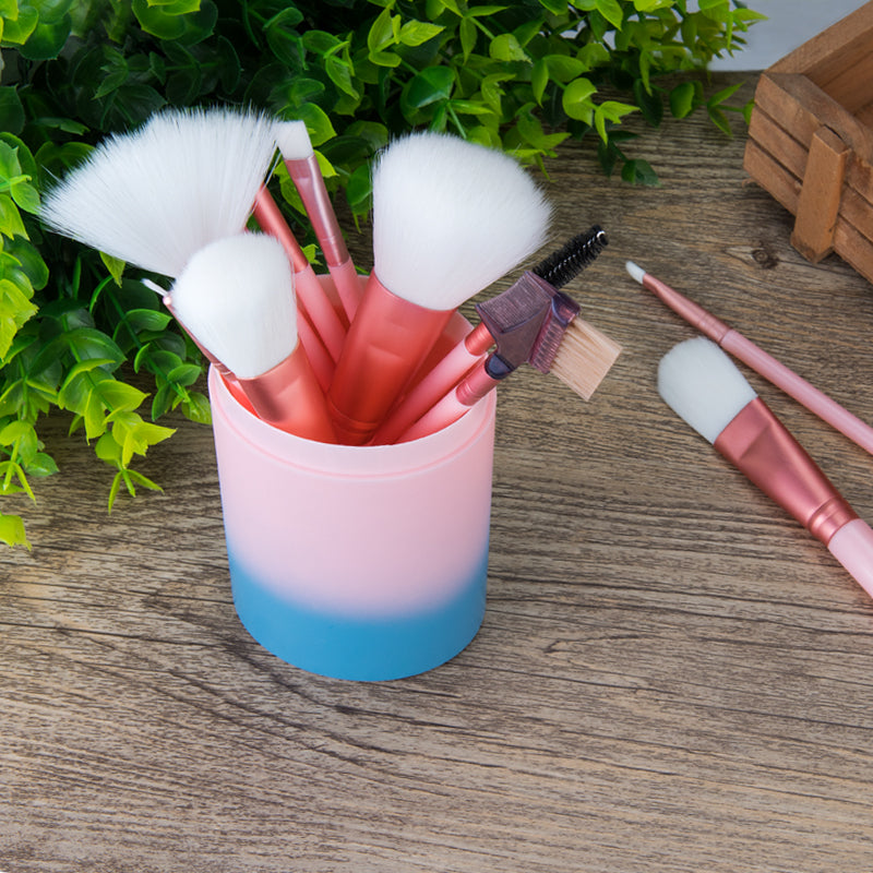 12-Piece Pink Makeup Brush Set