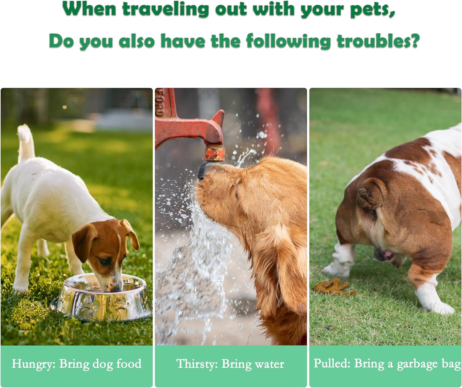 3-in-1 Portable Pet Water Bottle with Food Container