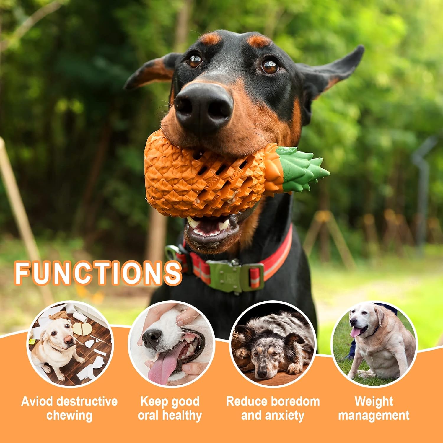 Pineapple Rubber Chew Toy for Dogs