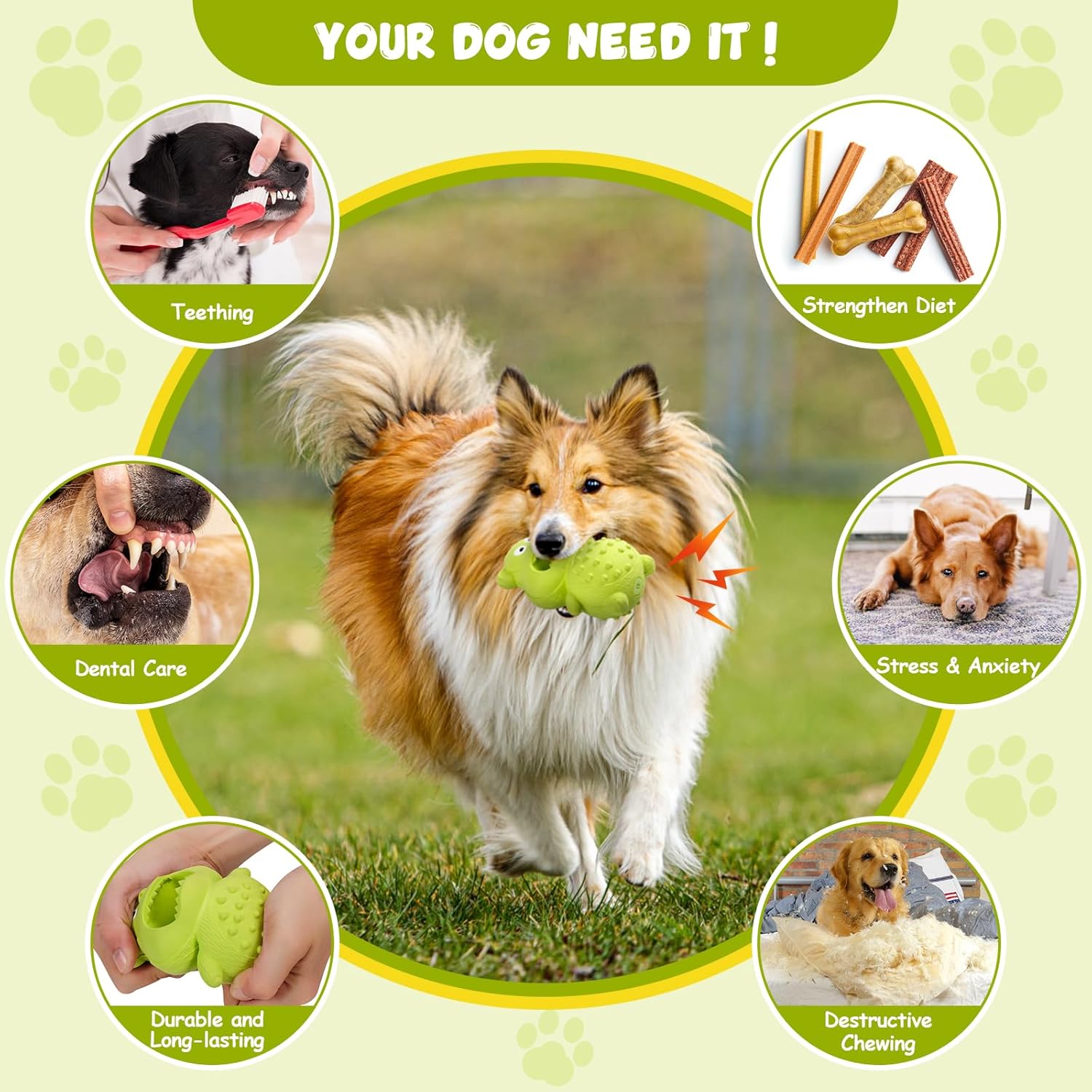 Rubber Squeaky Treat Toy for Strong Chewers
