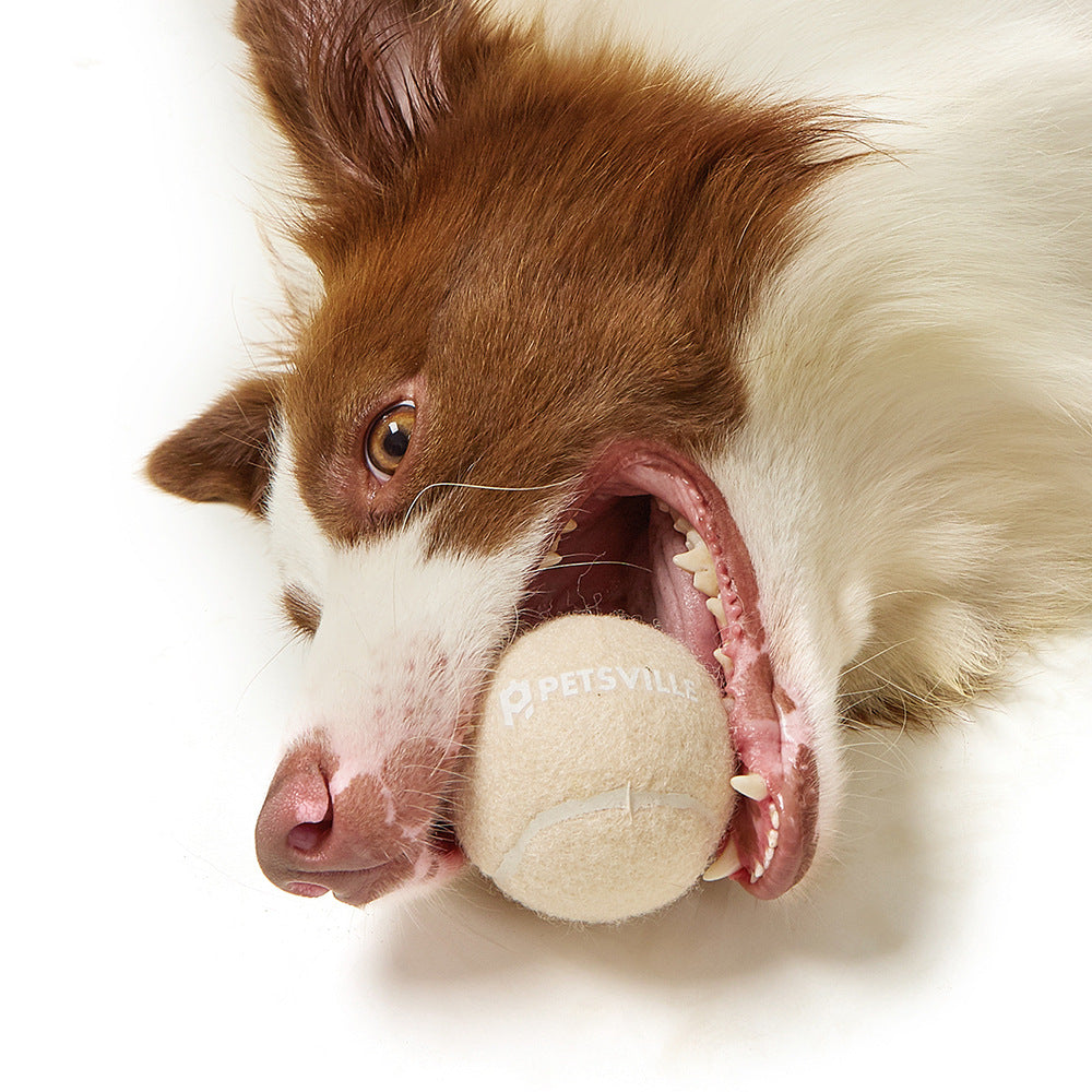 Bouncy Ball Dog Toys