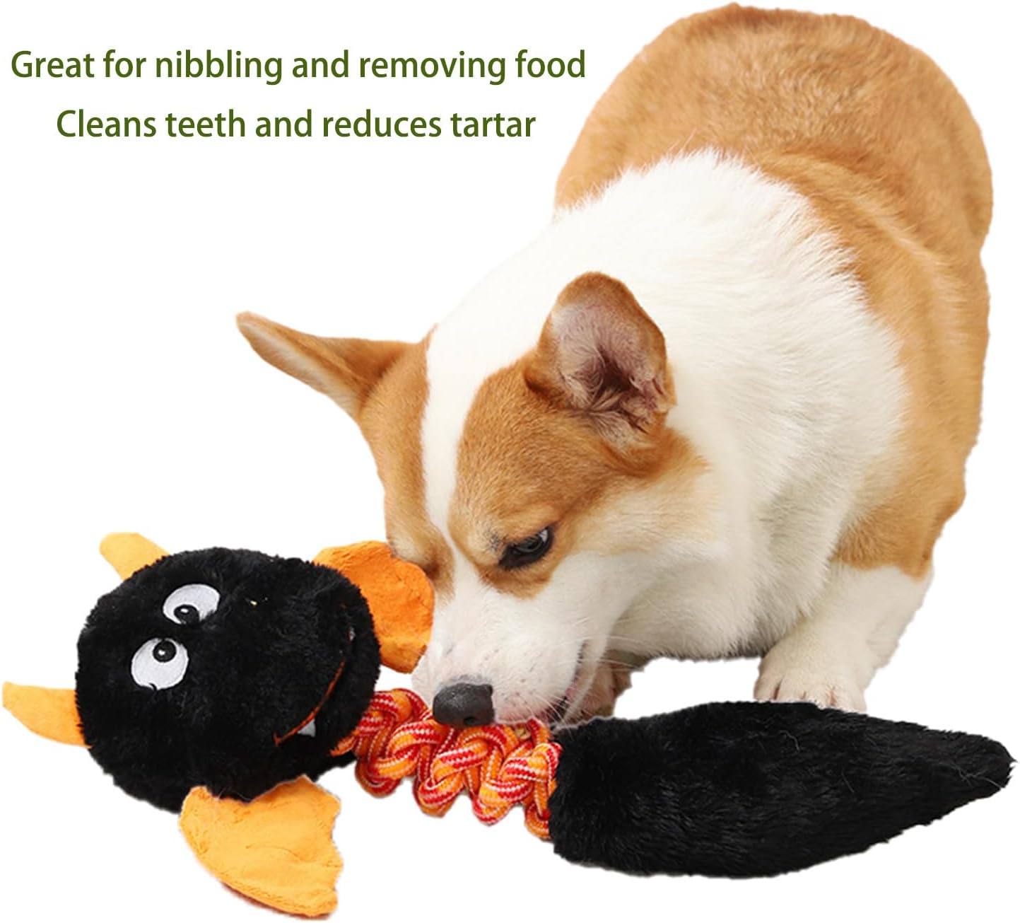 Large Plush Squeaky Dog Toy