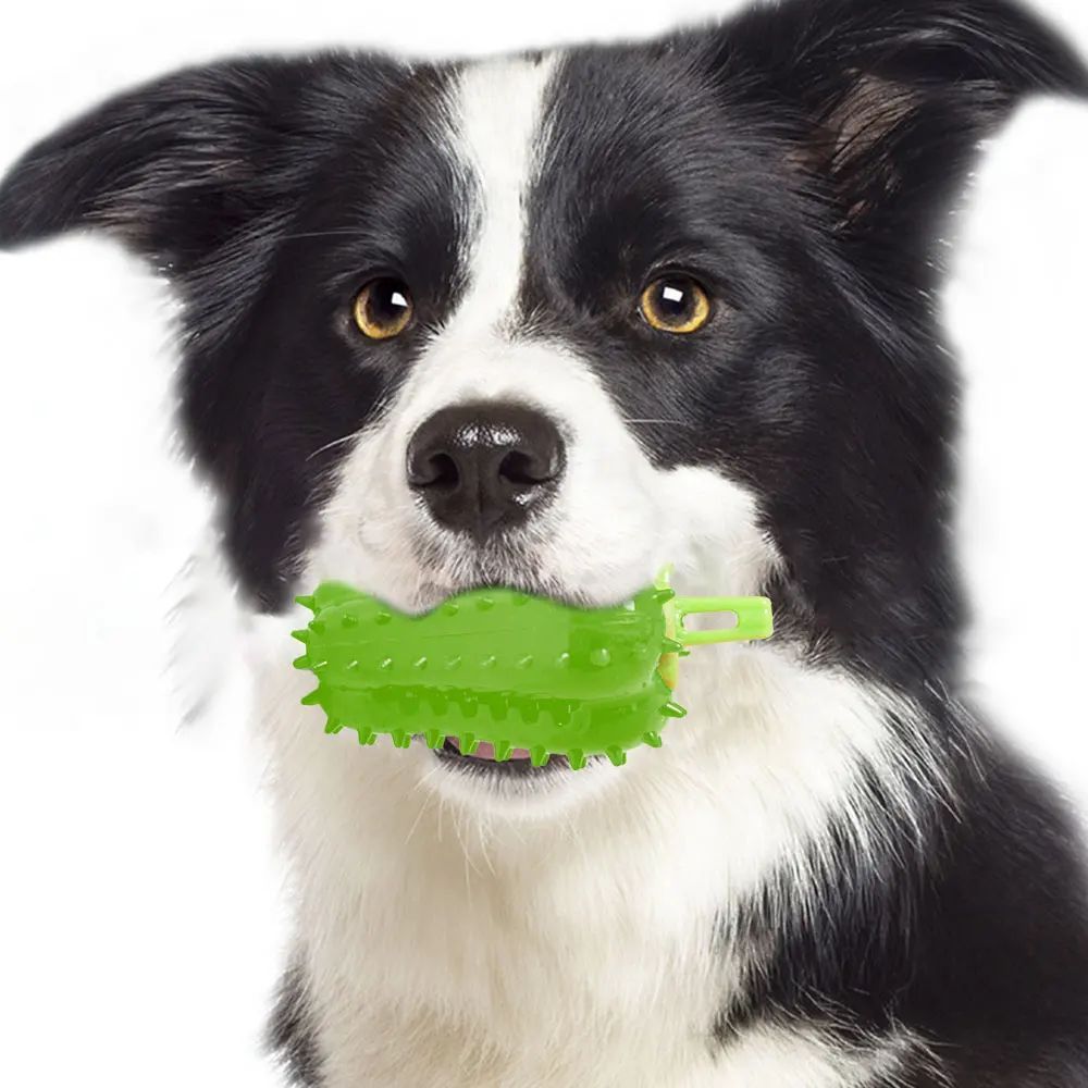 Rubber Chili Treat Toy for Dogs