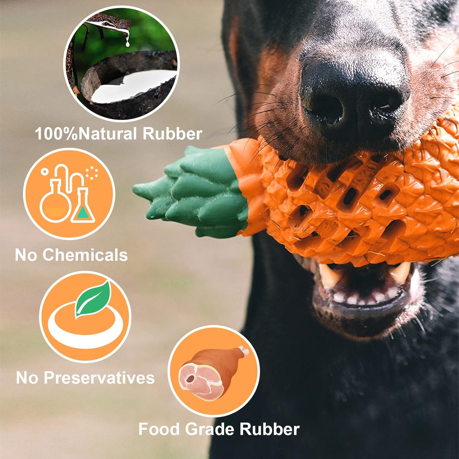 Pineapple Rubber Chew Toy for Dogs