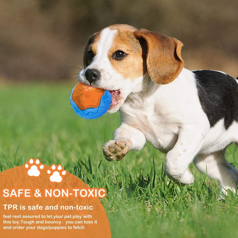 Floating Squeaky Water Toys for Dogs