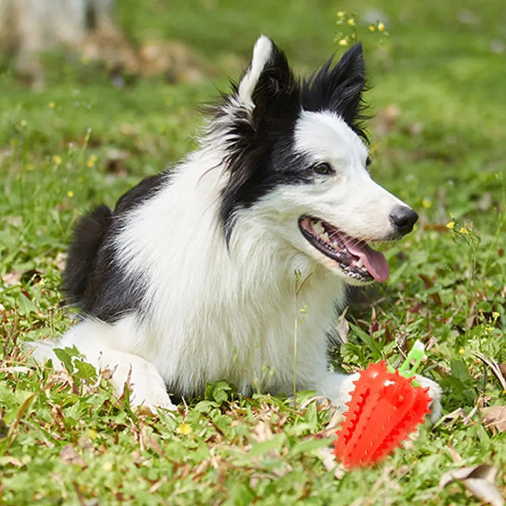 Rubber Chili Treat Toy for Dogs