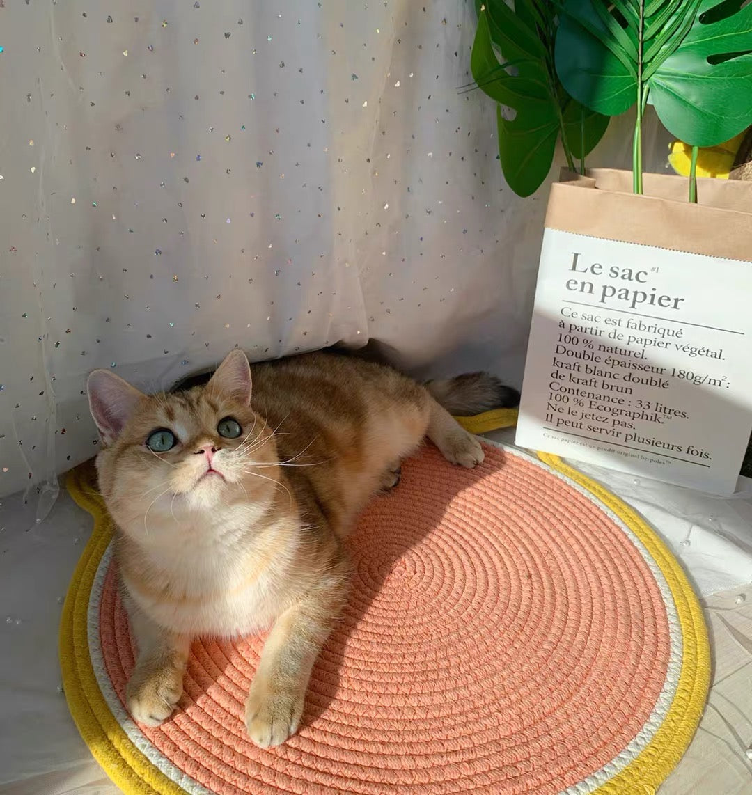 Pink Cat Scratching Mat