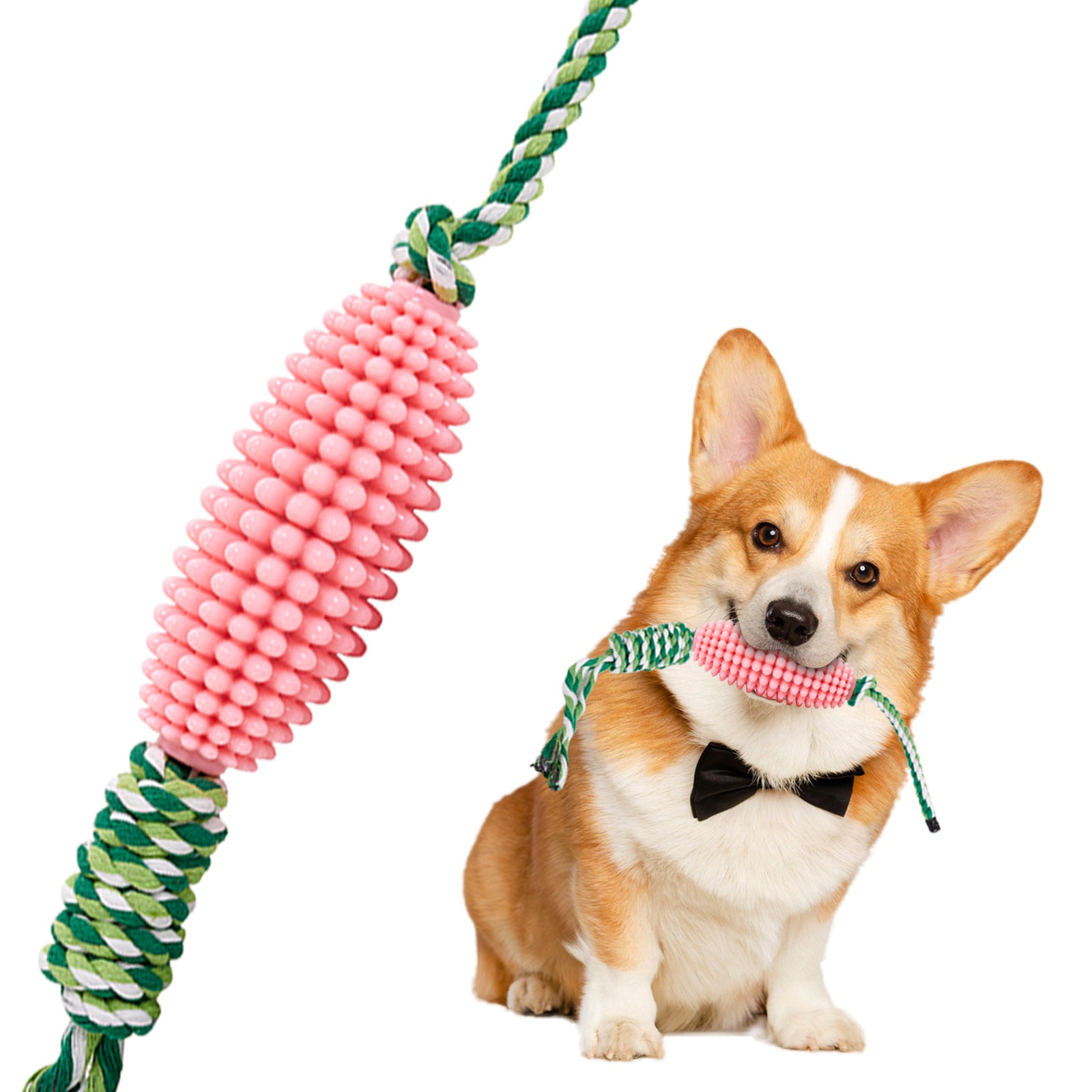 Corn Chew Toy for Dogs
